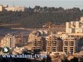 وزير إسرائيلي إذا لم يعودوا للتفاوض فقد يلغى تجميد الاستيطان