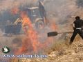 مستوطنون يحرقون 5 دونم مزروعة لاهالي قرية جيت قضاء نابلس