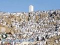 وفاة حاجة من قطاع غزة على جبل عرفات بمكة المكرمة