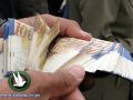 الحكومة: رواتب الموظفين بعد موعدها الرسمي بـ10 ايام