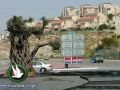 المصادقة على بناء 1130وحدة استيطانية