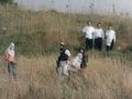 المستوطنون يحطمون أشجار زيتون ويهدمون سلاسل حجرية شمال الخليل