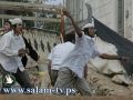 المستوطنون يحاصرون منزلا بداخله 30 مواطنا بالخليل و2 من التواجد الدولي