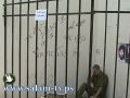 ابو مجاهد لن نفصح عن الظروف التي عاشها شاليط بعد اطلاق سراحه