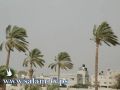 حالة الطقس: أجواء خماسينية حتى يوم الأحد