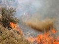 مستوطنون يحرقون جبلا ويهاجمون مدرسة جنوب نابلس