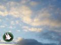 حالة الطقس استمرار الأجواء الحارة والجافة