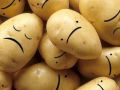 علماء: أغلبية البطاطا في العالم تعاني من &quot;الاكتئاب الشديد&quot;!