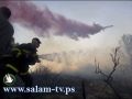 متطرفون يحرقون مقبرة القسام- 42 قتيلا واحتراق 34 الف دونم بالكرمل