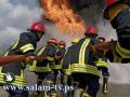 وصول 100 رجل إطفاء بلغاري للمساعدة في إطفاء حريق الكرمل