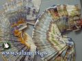 العملات: دولار 3.58- يورو 5.07 - د.اردني 5.06- ج.مصري 0.60 شيقل