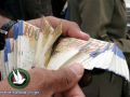 وزير المالية: باقي راتب شهر تموز يصرف يوم غد الخميس