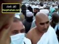 بالفيديو : عصفور يستقر على رأس حاج ويطوف معه