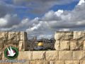 تحذير عربي من مخاطر الصمت على وضع إسرائيل لقبور وهمية بالقدس