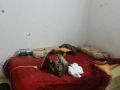 الاحتلال ينشر صوراً لمكان اختباء نشأت ملحم قبل استشهاده