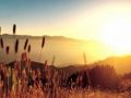 حالة الطقس: اجواء شديدة الحرارة
