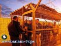 الأسرى في سجون الاحتلال يحيون يوم الأسير غدا بالإضراب عن الطعام