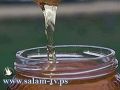 طولكرم - حملة تفتيش على منتج العسل المخالف للمواصفات