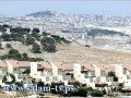 مستوطنة إسرائيلية تدفع 750 ألف شيكل لأسرة شهيد فلسطيني