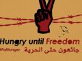77 أسيرا يخوضون إضرابا عن الطعام تضامنا مع الإداريين المضربين