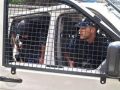 الشرطة: 4 متهمين بقتل مواطن فروا لمعسكر للجيش الاسرائيلي