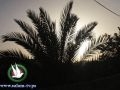 حالة الطقس: لا يطرأ أي تغير على درجات الحرارة