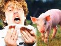 اصابة مستوطن بانفلونزا الخنازير وحالته خطيره