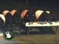 قطيع بقر يقتحم حفلا في حديقة منزل ويشرب كل الكحول!