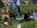 الخليل : مستوطن يطلق كلابه على سكان خربة النبي شرق يطا
