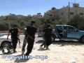 الشرطة تقبض على 4 اشخاص بتهمة السرقة في طولكرم