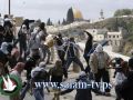 حراس المسجد الأقصى يحبطون محاولة اقتحام متطرف يهودي للمسجد