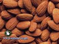 باحثون: زيوت بذور اللوز البري تكافح السمنة والسكر