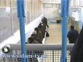 الاحتلال يطلق اليوم سراح 9 أسرى من النقب