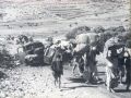 مجلس الوزراء: 15 أيار يوم وطني شامل في ذكرى مرور 67 عاما على النكبة