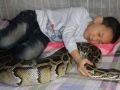 طفل ينام مع الثعبان على فراش واحد منذ 13 عاما ـ شاهد الصور