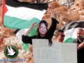 متضامنون أجانب يدرسون إمكانية مقاضاة إسرائيل في المحاكم الدولية