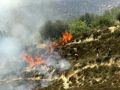 مستوطنون يضرمون النار بأشجار زيتون في قرية قريوت جنوب مدينة نابلس
