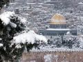 الثلوج تصل فلسطين وتسقط على جبال الجليل وحتى الخليل وتتقدم نحو القدس