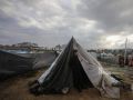 الصليب الأحمر الألماني: أوضاع الإمدادات بغزة مروعة وهي تتفاقم