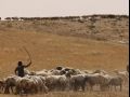 باكستان تؤكد استمرار جهود الوساطة لتحقيق السلام في الشرق الأوسط