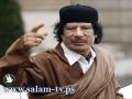 10 مليون إسترليني .. مكافأة لمن يأتي بالقذافي حياً أو ميتاً!