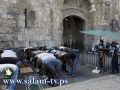 جماعات يهودية تعتزم تنظيم مسيرة استفزازية اليوم في محيط أسوار القدس والاقصى