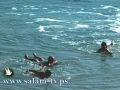 البحر الميت لا يرحم فلا تستهينوا به!