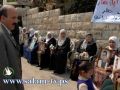 طولكرم – نحو خمسون أسيراً يعانون المرض والعزل والإداري