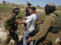 جيش الاحتلال يعتقل 15 مواطنا بالضفّة الغربية