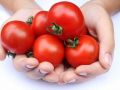 حبة الطماطم تقلل من خطر الإصابة بالأزمة القلبية
