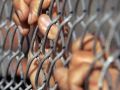شاهد الأسماء : 16 أسيرًا في سجون الاحتلال يعانون من أمراض نفسية وعصبية