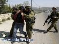 طولكرم - الإحتلال يختطف مزارعين إثنين وينقلهما الى مستوطنة آفني حيفتس