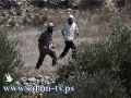 رغم التنسيق: مستوطن حاول طعن فلسطيني جنوب نابلس
