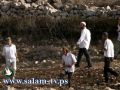 مستوطنون يقتلعون عشرات أشجار الزيتون والعنب في بيت أمر